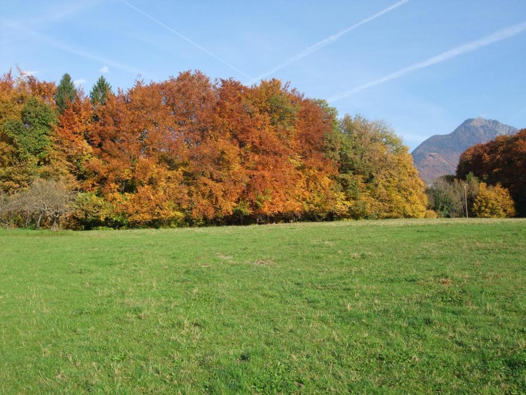 Le Domaine Du Grand Cellier Chambres D'Hotes En Savoie Tournon ภายนอก รูปภาพ
