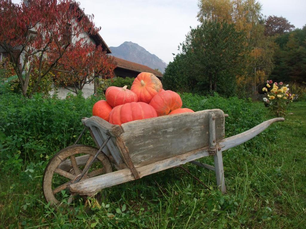 Le Domaine Du Grand Cellier Chambres D'Hotes En Savoie Tournon ภายนอก รูปภาพ