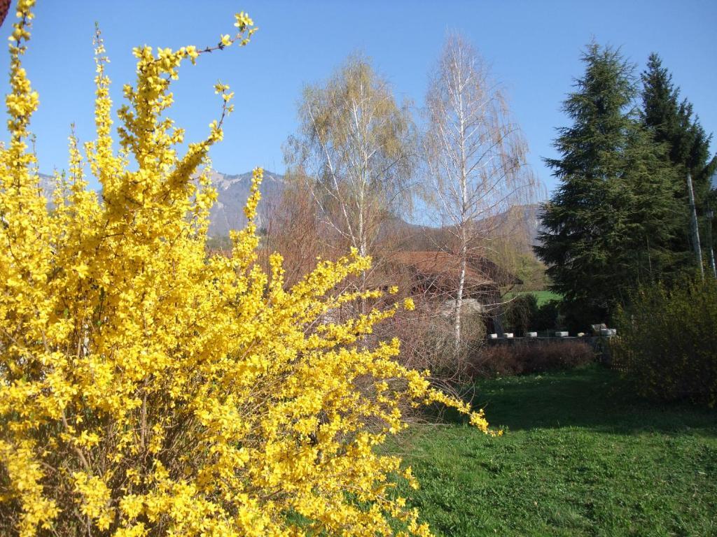 Le Domaine Du Grand Cellier Chambres D'Hotes En Savoie Tournon ภายนอก รูปภาพ
